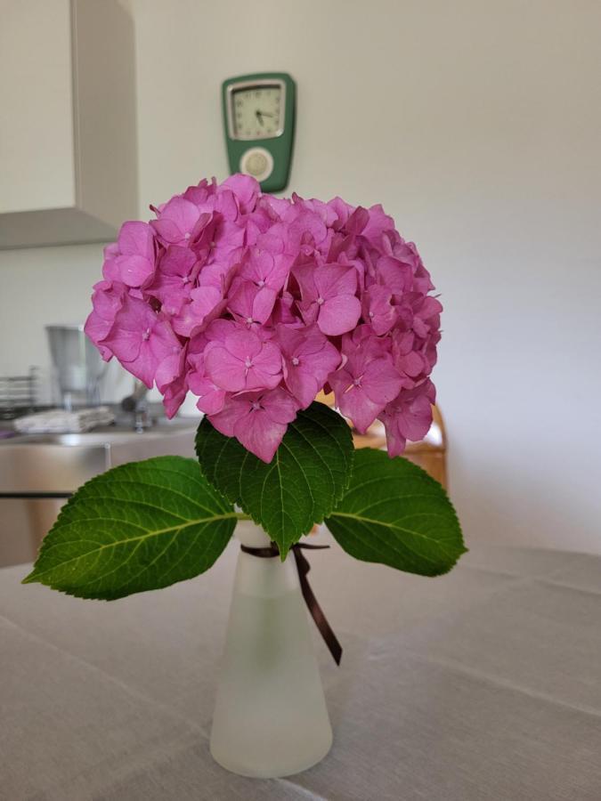 Ferienwohnung Sonnenschein Obernkirchen ภายนอก รูปภาพ